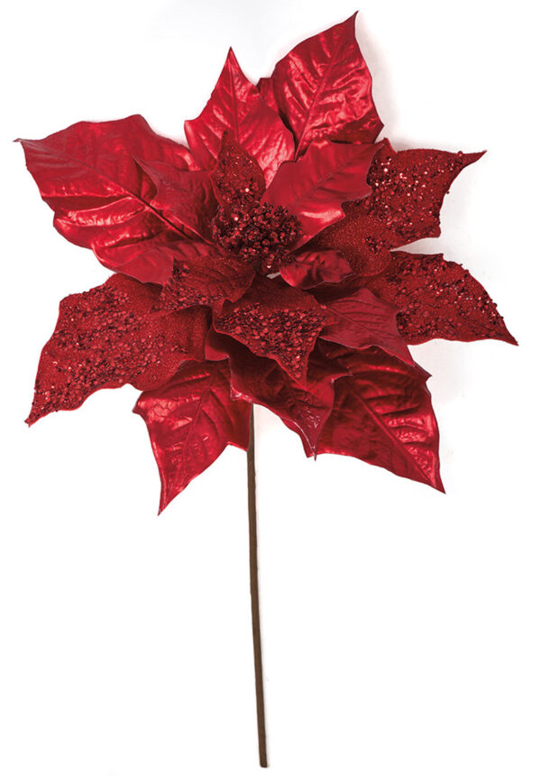 Ruby Red Park Ave Poinsettia