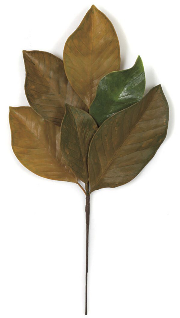 Green and Gold Magnolia Spray 19.5"