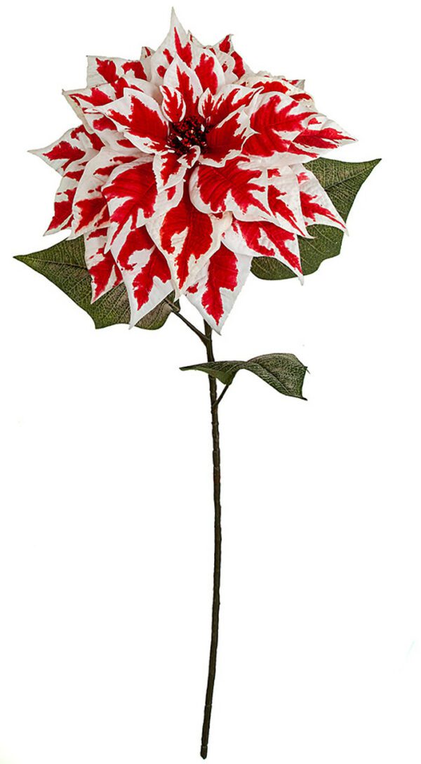 Ruby Red Poinsettia Stem 27"