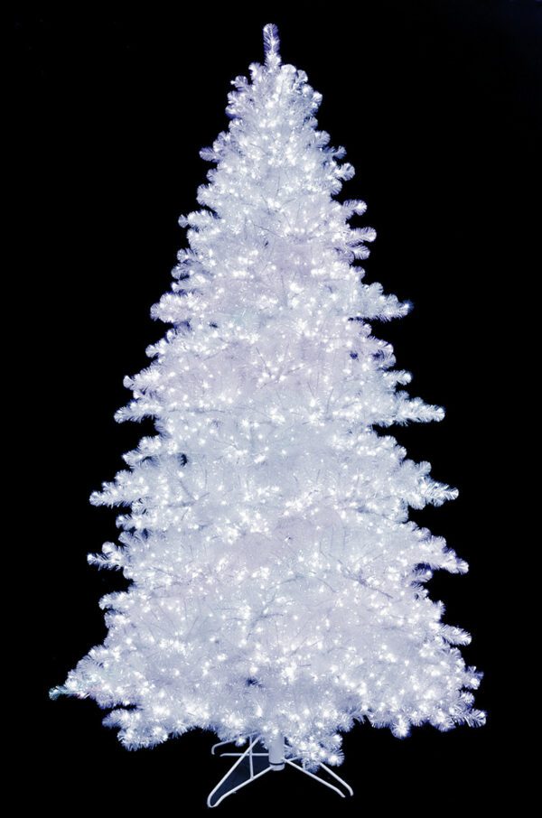 Sparkling Crystal Pine 12'