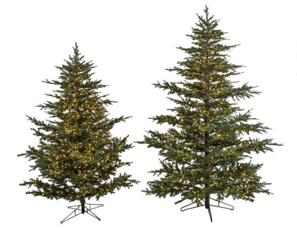 Green Lancaster Spruce 7'5"